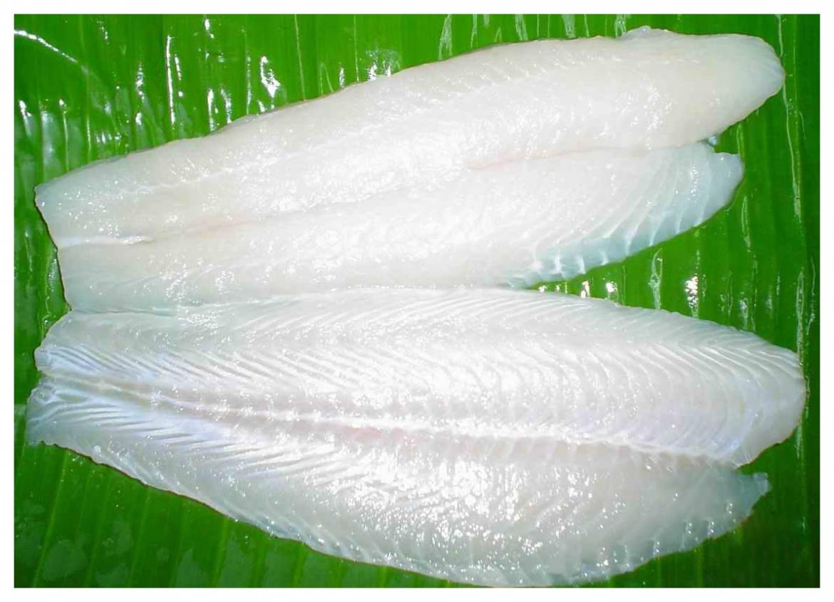 Pangasius-Fillet-min.jpg